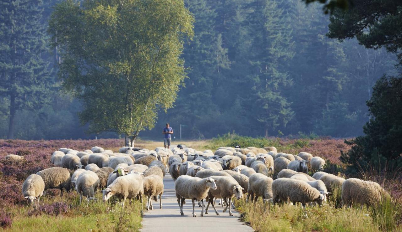 Herberg De Zwaan Elspeet Luaran gambar