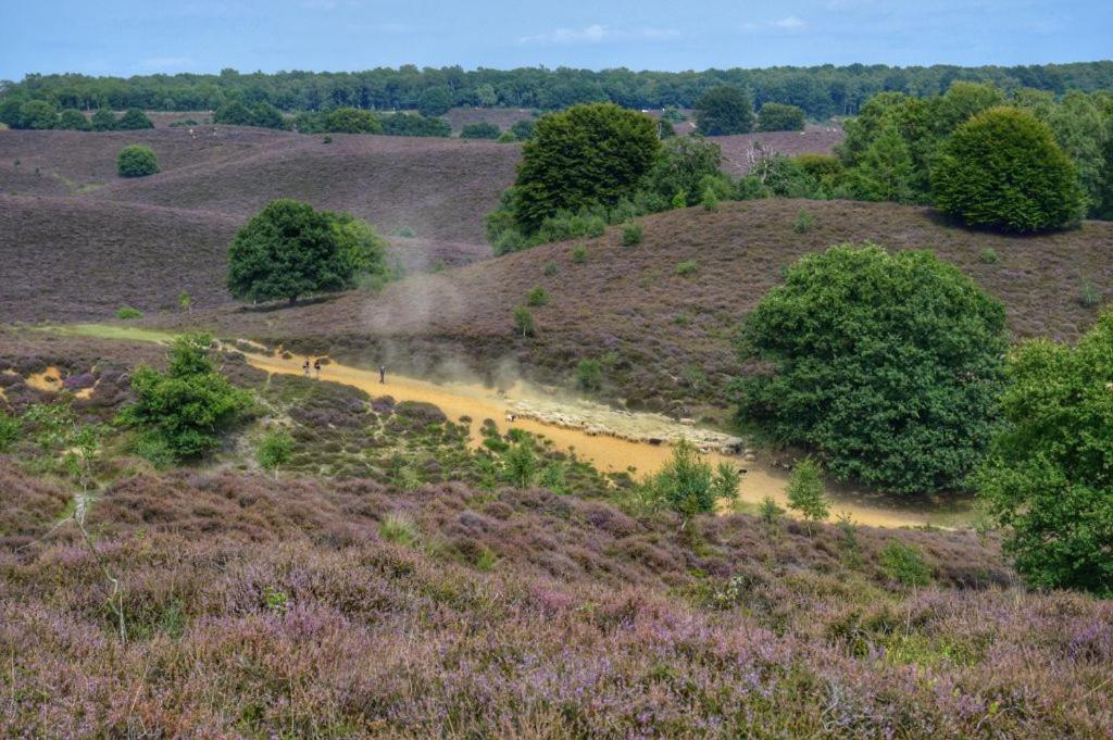 Herberg De Zwaan Elspeet Luaran gambar