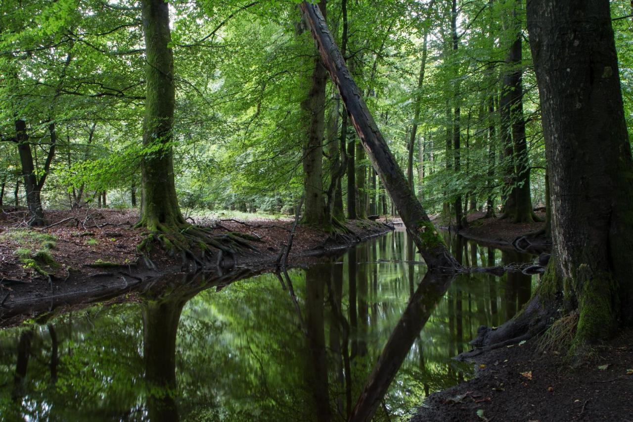 Herberg De Zwaan Elspeet Luaran gambar